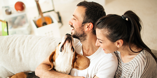 Couple on couch with beagle Nationwide Couple on Couch with Beagle